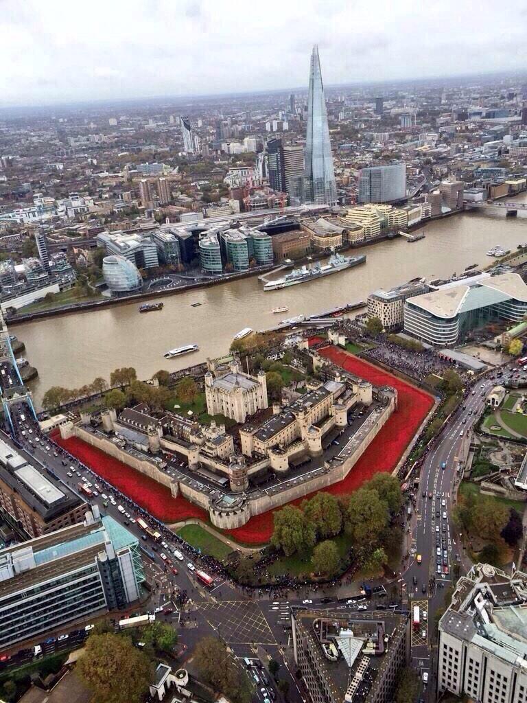 alicrosswell's tweet photo. One poppy for every soldier that died... All 888,246 remembered. #RemembranceDay #LestWeForget http://t.co/5USA540R6Y
