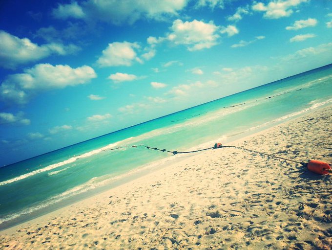 Few pics from #PlayaDelCarmen #Mexico such a paradise ! http://t.co/jNPP9kyBGt<a href="/tag/playadelcarmen"class="tags">#PlayaDelCarmen</a><a href="/tag/mexico"class="tags">#Mexico</a>