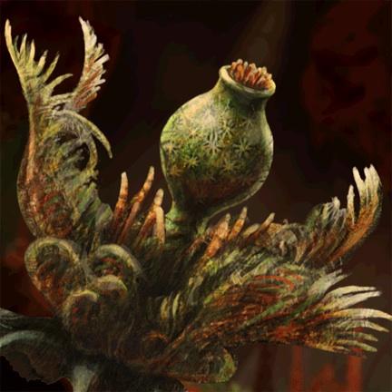 They are beautiful and strange. But not so unlike plants on Earth. #wakingmars