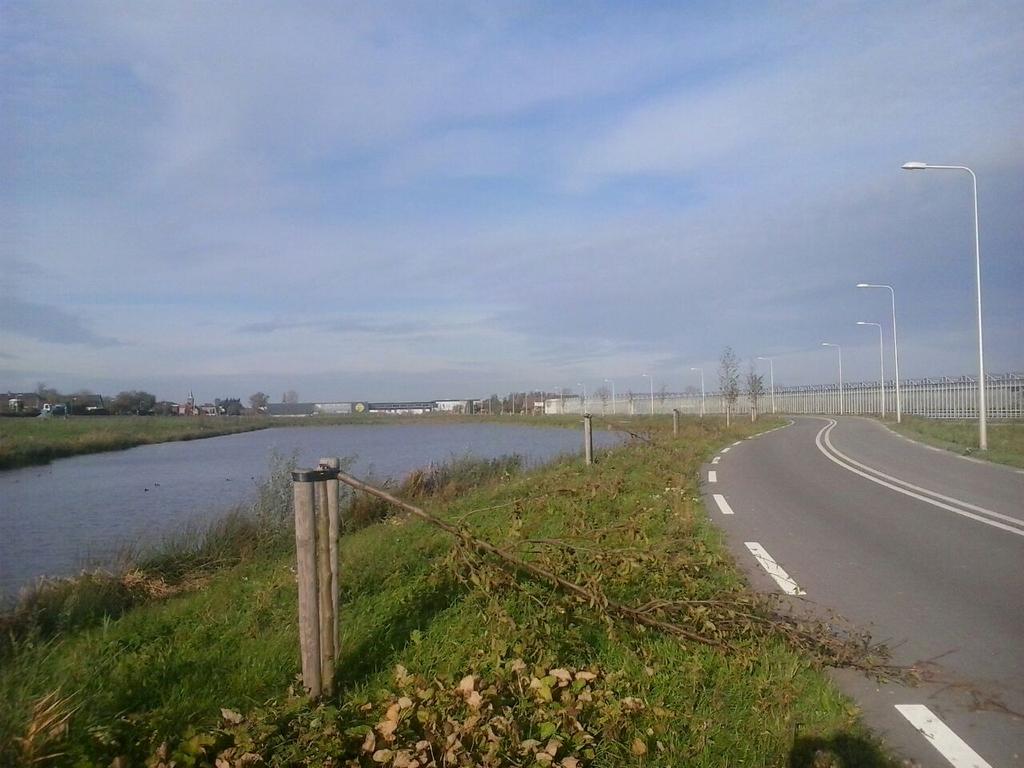 Rondvragen D66 over bomenslopers aan de van Luyklaan