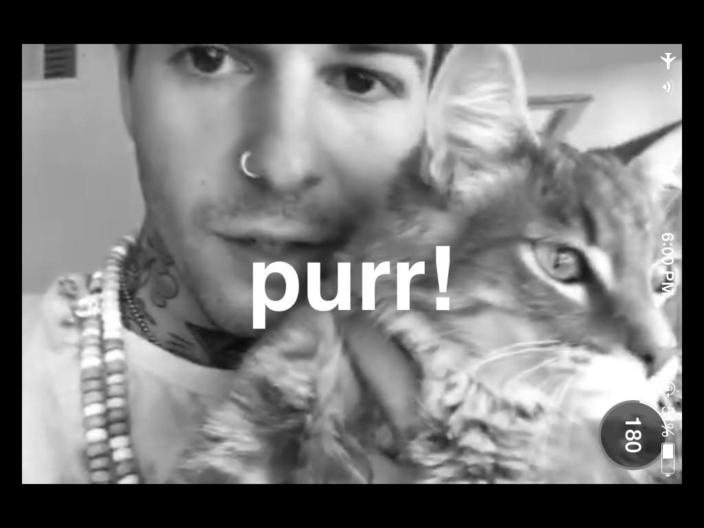 TheNBHD_PH's tweet photo. Meet Je$$e's new cat named Gucci. #GucciTheCat http://t.co/nX3UYXSMiN
