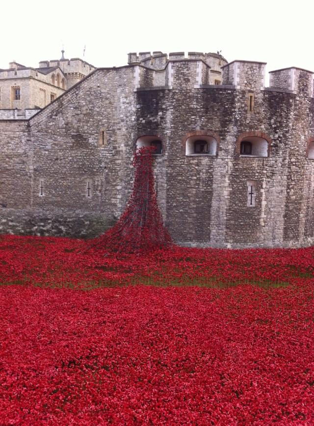 #TowerOfLondon this morning #poppyproud #WW