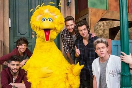 remember when big bird met one direction and you didn't

same

#EMABiggestFans1D