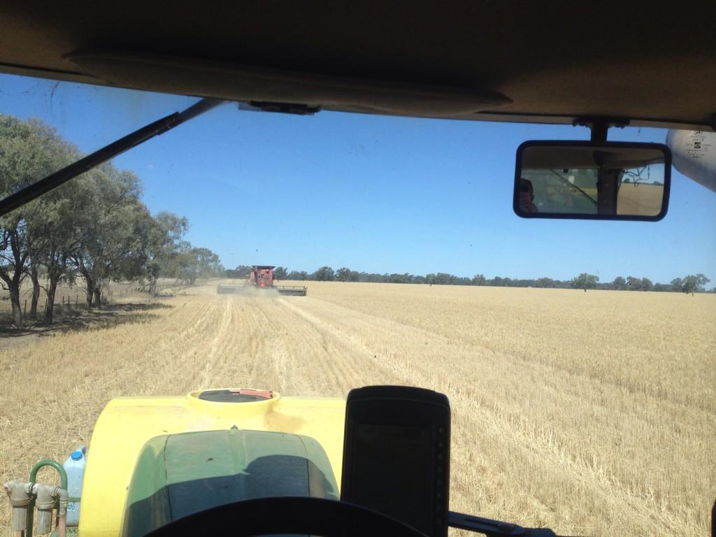 jmskinner86's tweet photo. #harvest14 has started at Trangie for us. Looks good so far. http://t.co/ILvJ5gQzPa