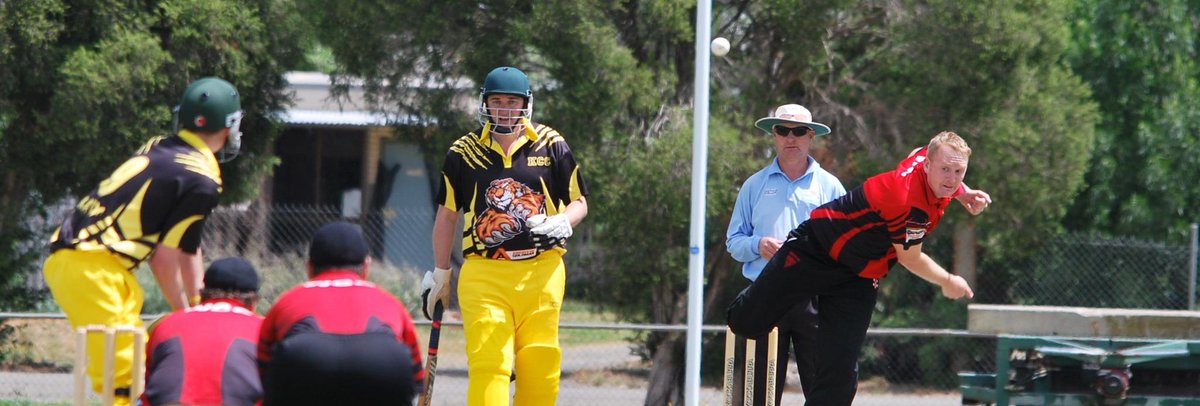 Waaia Cricket Club tweet media