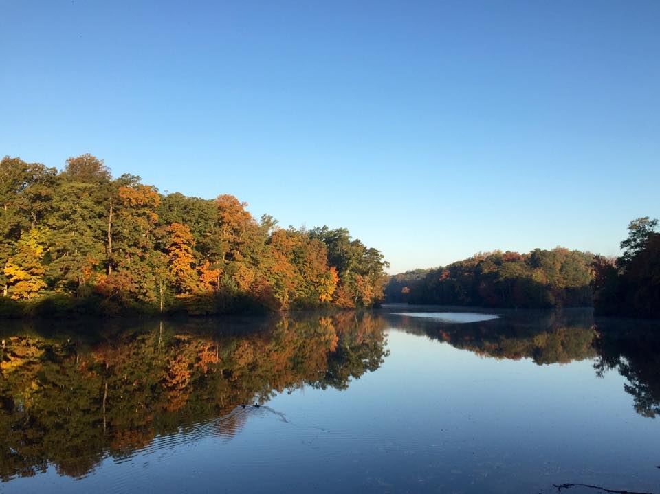 DMVPics's tweet photo. Fall Color Comes to The College Of William &amp; Mary. http://t.co/QAFeJhqNhc