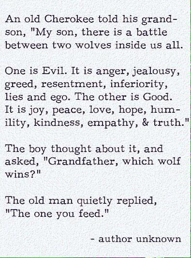 naserbalamiri's tweet photo. 'A Tale of Two Wolves'
#CherokeeWisdom http://t.co/uo7Wceeg9f