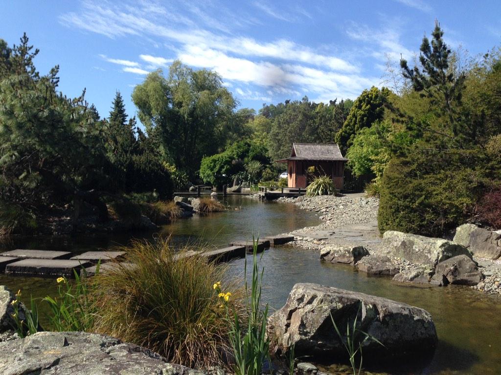 ladypennys's tweet photo. Lovely afternoon exploring Miyazu gardens. Should stream this to the world w GFB in #gigatownnsn http://t.co/P4kt3mr0Ih