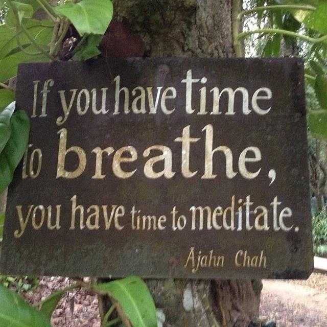 thinkplusone's tweet image. facebook.com/pages/Short-Qu…