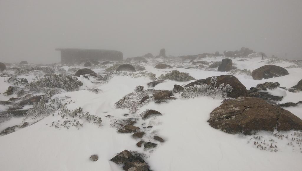JaneLTurner's tweet image. Snowing on Mt Wellington #springinhobart