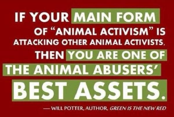 TheTaijiNews's tweet image. An Open Message to the Drama Queens who are Attacking Fellow Animal Activists &amp;amp; Trying to Get Us to Fight Each Other: