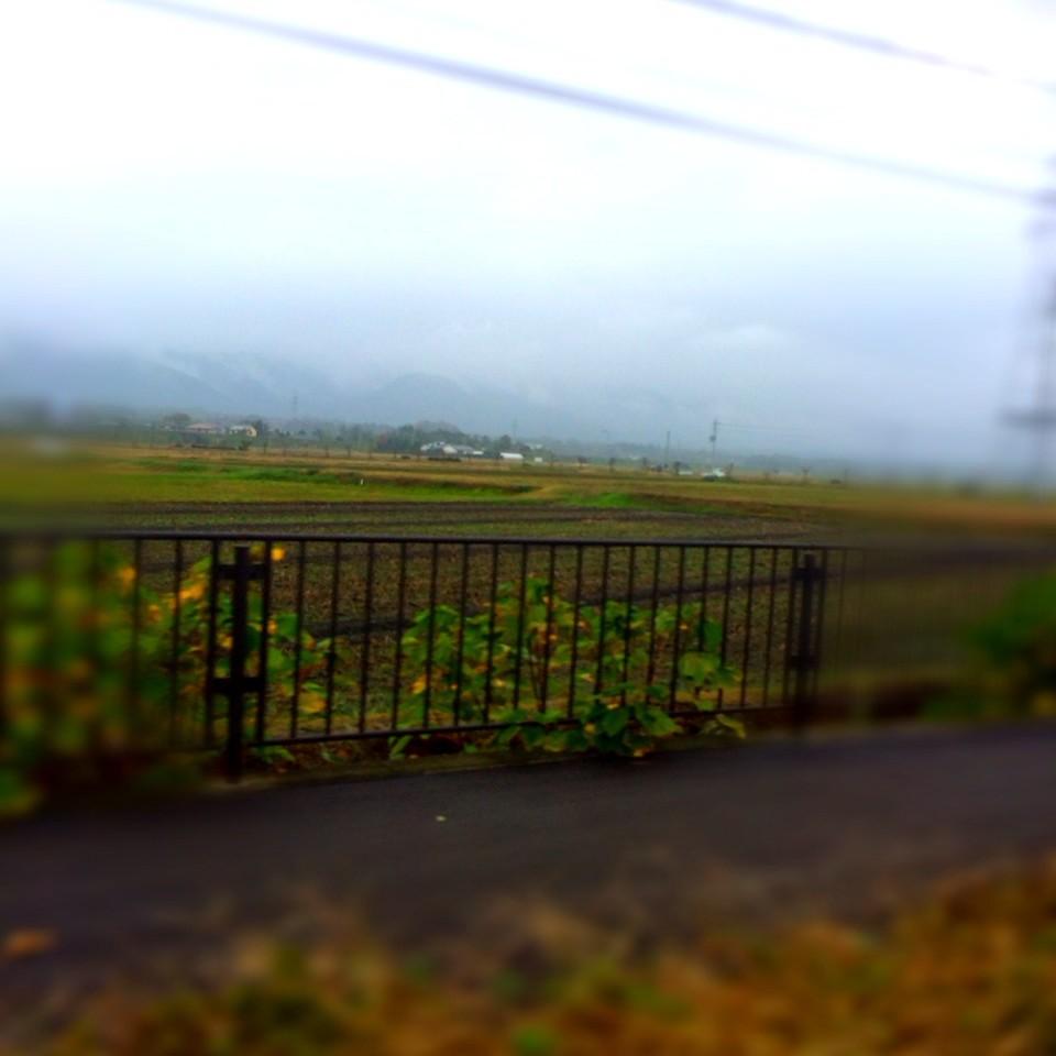 mokadazo's tweet photo. お腹痛い😭😭
夜までになおってほしい。
こんな寒いとこにきたからや（笑） http://t.co/xo4wkPdTTK