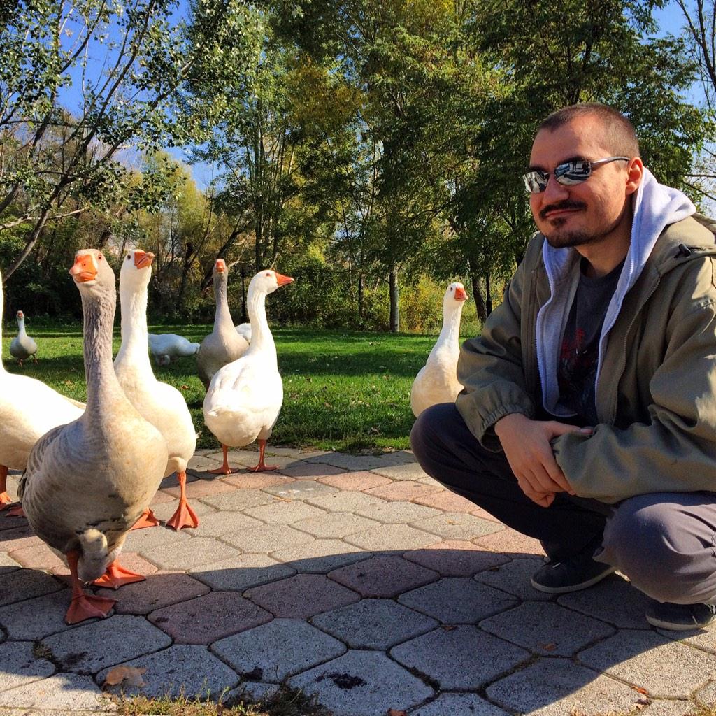 Kripparrian's tweet photo. Stupid birds IRL http://t.co/u2M25S68XP