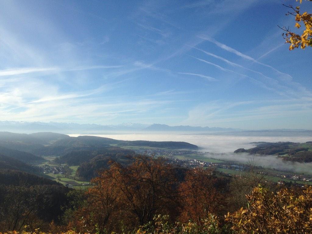 mhaene's tweet photo. Der frühe Vogel fängt die Morgensonne. #Uetliberg http://t.co/SIBkROohLp