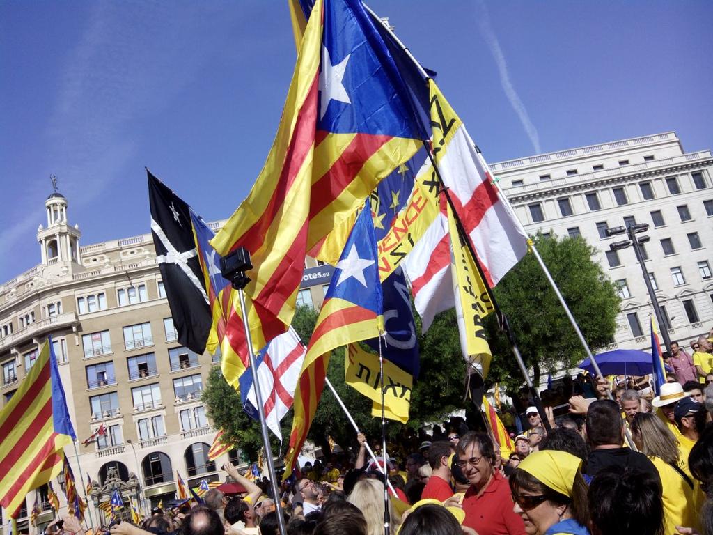 2012Calatula's tweet image. A Barbera tambe votarem per la llibertad!!!