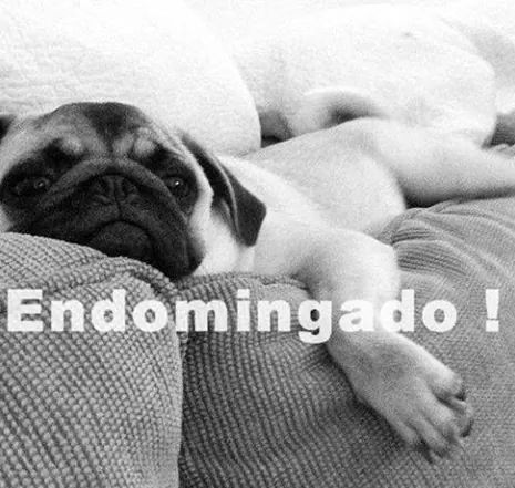 Sandrita_Calvo's tweet photo. http://t.co/SA4C3Vxuaa