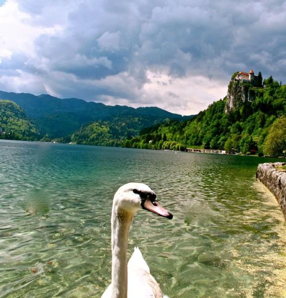 Lake Bled, Slovenia: One of Europe’s Prettiest Wanders from the Angie Away blog
bit.ly/1pfY8mH