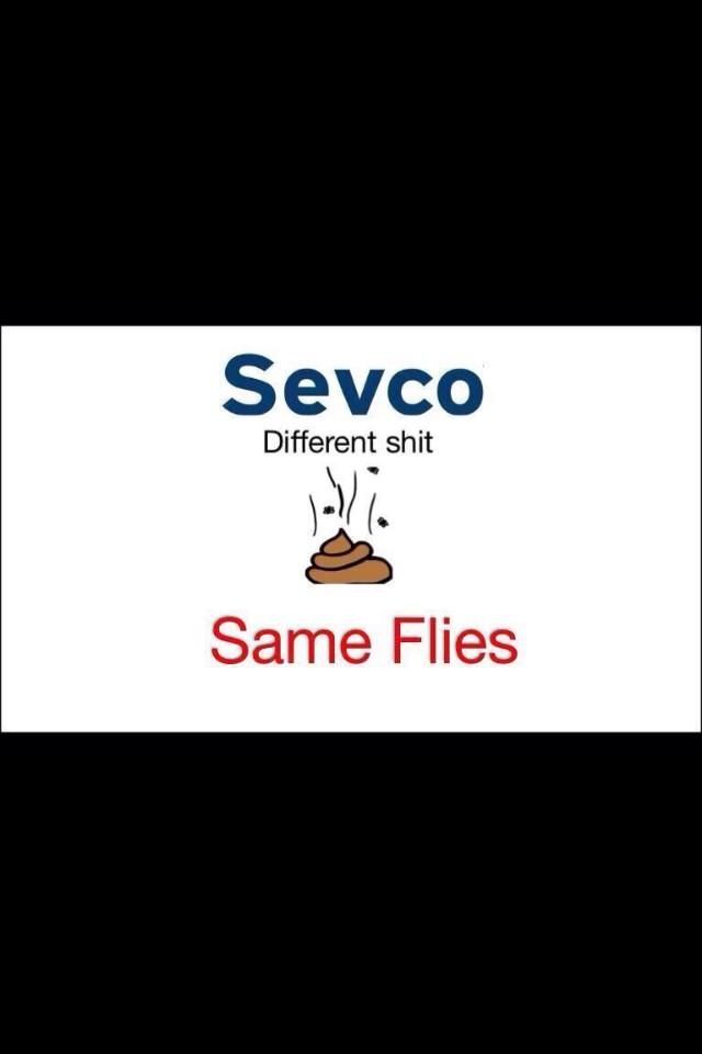 Image result for different shit same flies