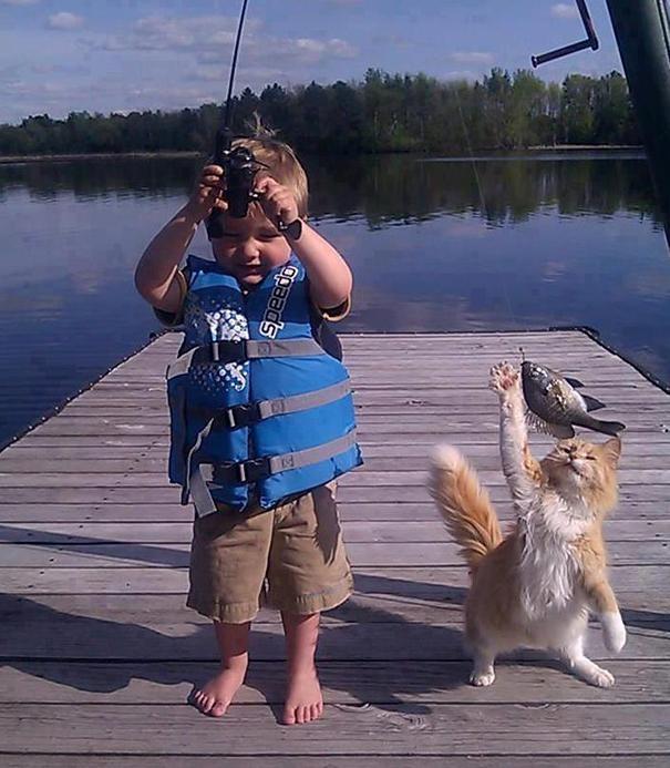 Backnang's tweet photo. Katzen zuerst (alternativ: die Katze hat den #Photonenstrahler von #H725) #CatContent http://t.co/wX9qIjagub