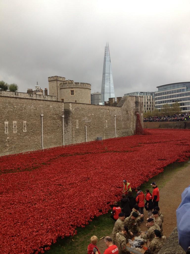 So happy we made it to see the wondrous Tower poppies; give Paul Cummins a medal.