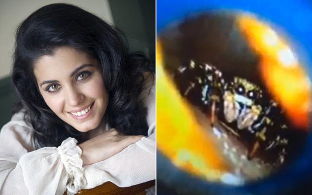 iaskedforlove's tweet photo. "@Telegraph: Katie Melua discovered she had a spider living in her ear for a week http://t.co/4h9Ry300wj http://t.co/xYwhytXPOR" NOPE