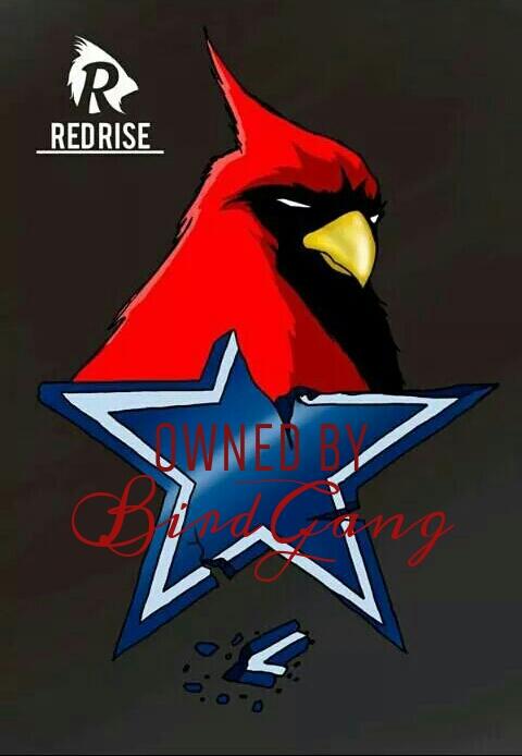 RedRiseAz's tweet image. Let's go Az Cardinals! #AZvsDAL #AZCardinals #Birdgang #redrise #cardinals #cardinalnation #riseup #redsea #angrybird
