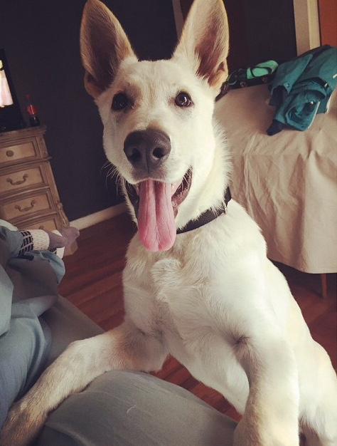 MegLivesFast's tweet image. No doubt about it, he's my very best friend.