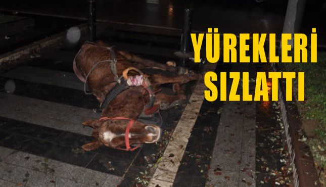DAHA FAZLA DAYANAMADI
oncurtv.com/haber/DAHA-FAZ…