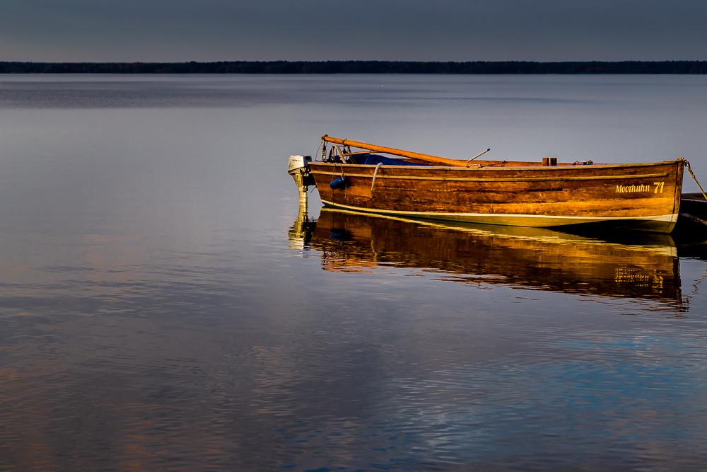 JayPee_Fotoblog's tweet photo. Boot am Ufer in der Herbstsonne
#SteinhuderMeer #Steinhude #Moorhuhn #Ufer http://t.co/lUTL6vN8eB http://t.co/YH3RllgHtx