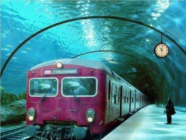 SintesisMexico's tweet image. Tren debajo del agua. Increíble!!