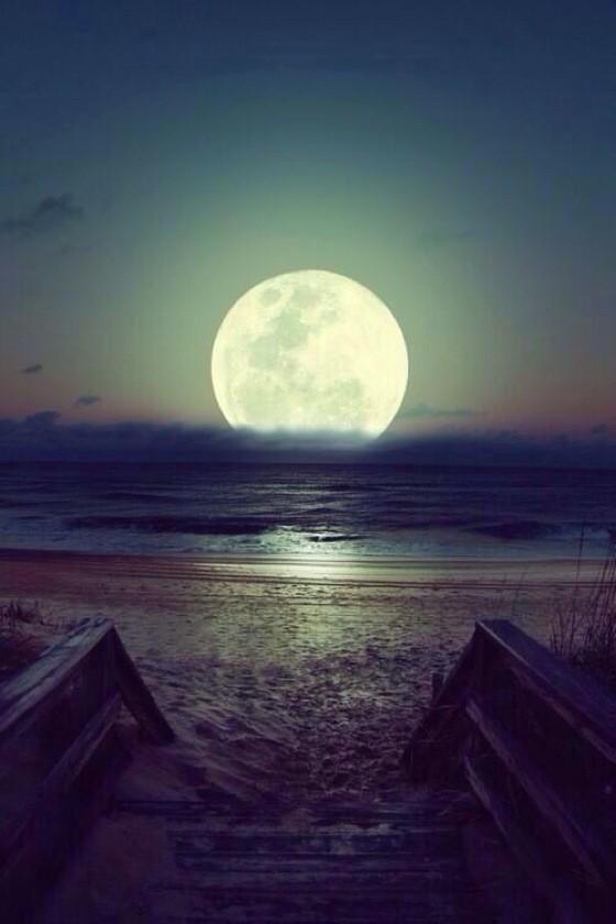 SintesisMexico's tweet image. La luna desde su punto más cercano.