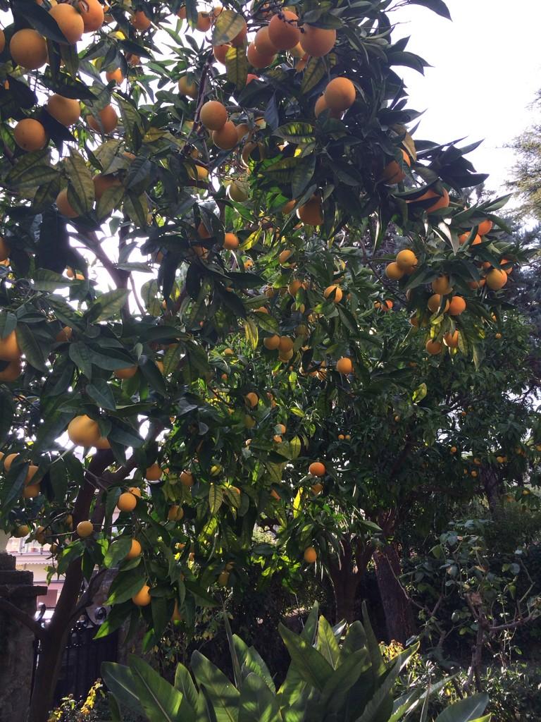 Alessandra  Siviero (@alwssandra) on Twitter photo 