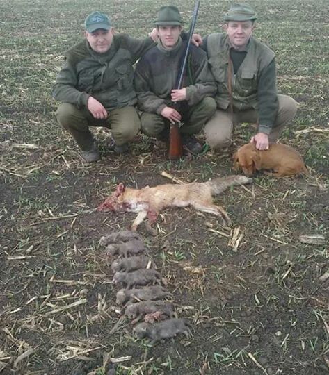 Stelletje hufters!! Moeder &amp; haar pasgeboren jongen vermoorden , een fotootje maken &amp; op facebook plaatsen. #jacht