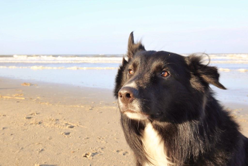 Sonne, Wind und Meer
Das liebe ich so sehr!