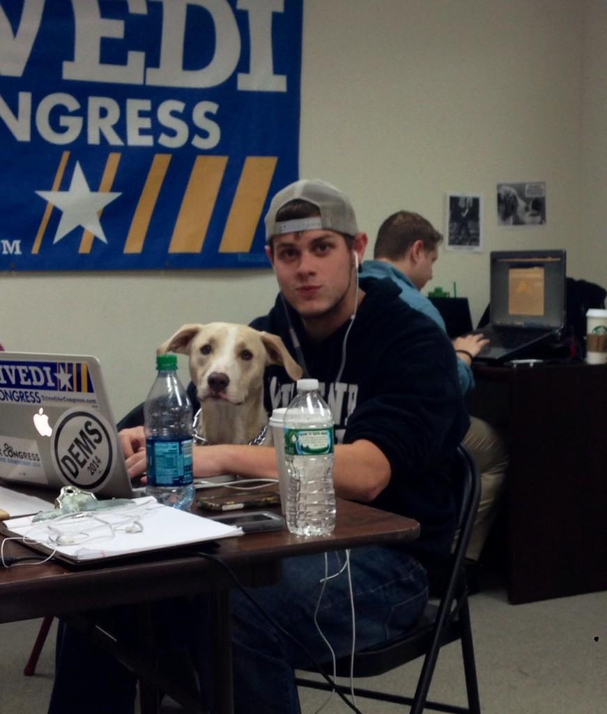 roxygirl196's tweet photo. Another great #officedog moment @Staloski http://t.co/7I4z62JSCo