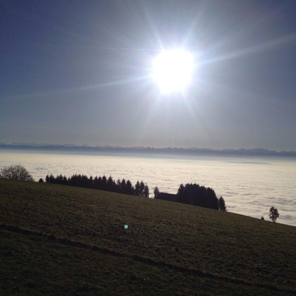 DariusRochebin's tweet photo. Michaël Berset, Bullet. Images de la Suisse #19h30 http://t.co/m93XwUjl18