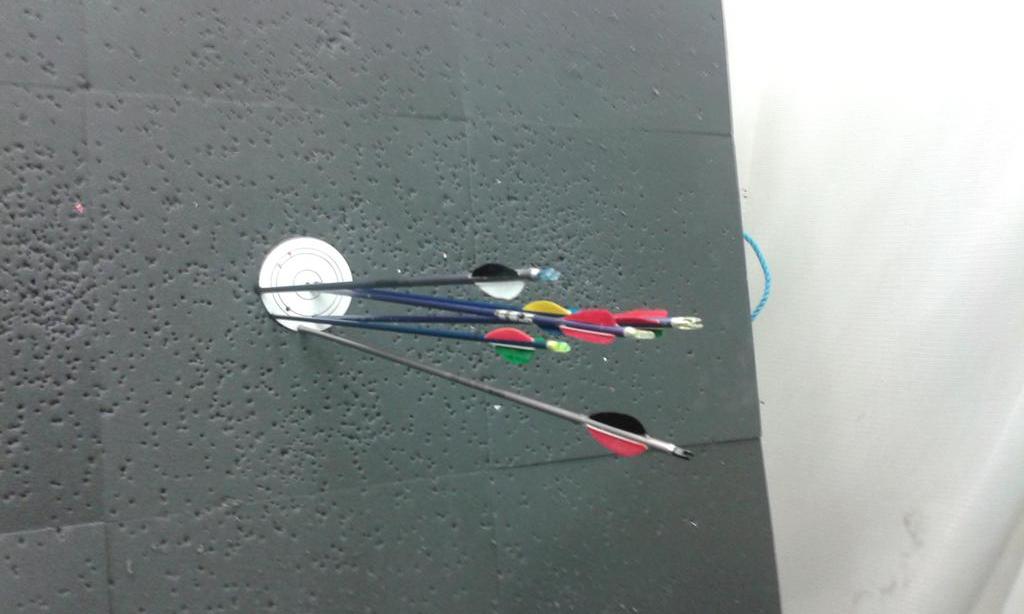 Impressive shooting by the Ladies of ELAC 6 "Papers" on 4" target at 30 yards!