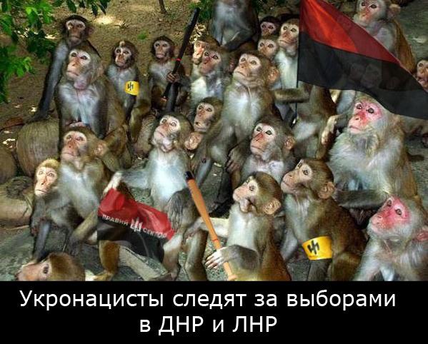 Прямая ссылка на встроенное изображение