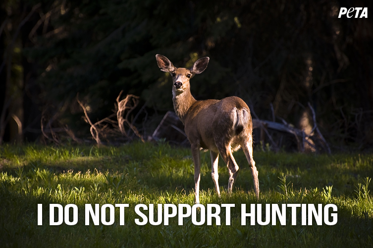 peta's tweet photo. DEAD ANIMALS should be kept out of high school yearbooks! http://t.co/xOy27BI7I2  
 
RT if you agree! #BanHunting http://t.co/J5Ibj42MJl