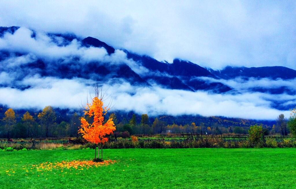 fontsizer's tweet image. RT @myautumn_ru: RT @dollar50beers: 
Осень. Красота!
 #fall #northarmfarm