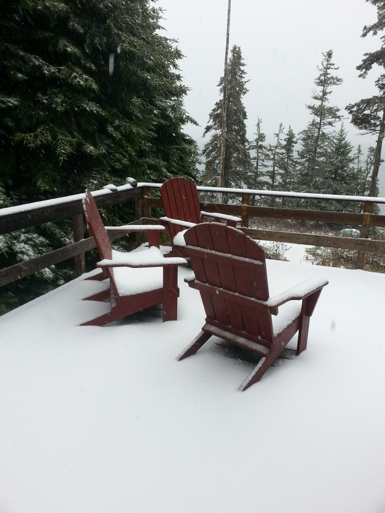 bbpring's tweet image. Winter is back in Stonington, ME.