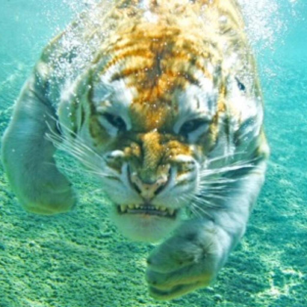 Peignot Roland (@guerigny) on Twitter photo 