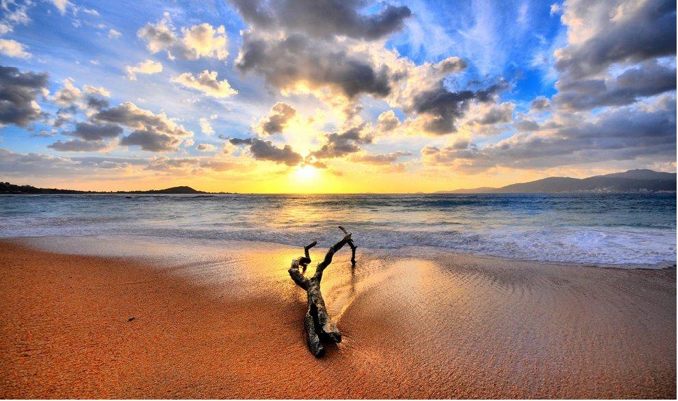 Peignot Roland (@guerigny) on Twitter photo 