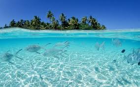 familytc_com's tweet photo. #Aruba #Jeep Tour
Discover the top attractions of Aruba!
http://t.co/5Okm3V8N4F
For more info email
info@familytc.com http://t.co/7Dd6QdohqU