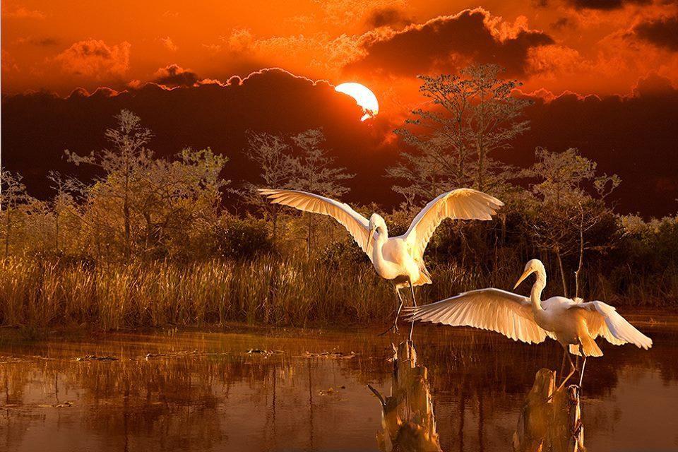 155954's tweet photo. http://t.co/aKd8hpVfvV
