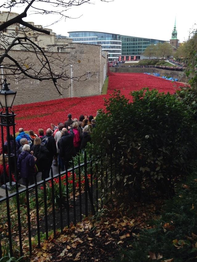 Lisa Creaye-Griffin tweet media