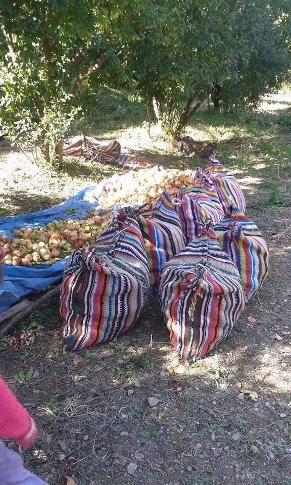 KayitCemal's tweet photo. Siirt'in Zivzik Narı!
Kalp sağlığını korur,kanser hücrelerinin gelişimini engeller,bağışıklık sistemini güçlendirir. http://t.co/JQX4Xptf9r"