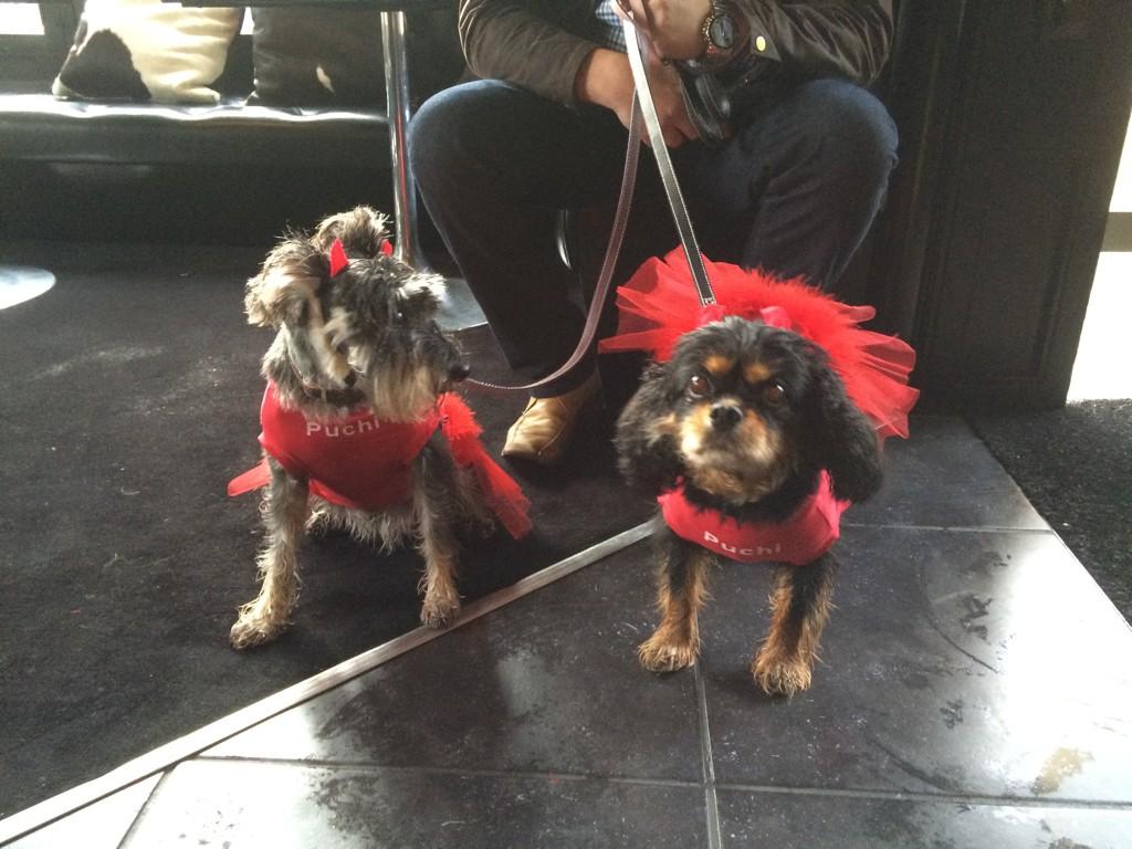 adorablemolly's tweet photo. http://t.co/MmzVuLqtJ9
