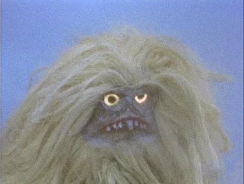 JordanTreger's tweet image. I woke up like this. After she burned that hair. @ericaannee95 @TaylorManley18