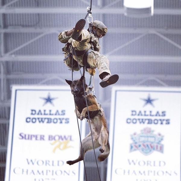 SBNation tweet picture